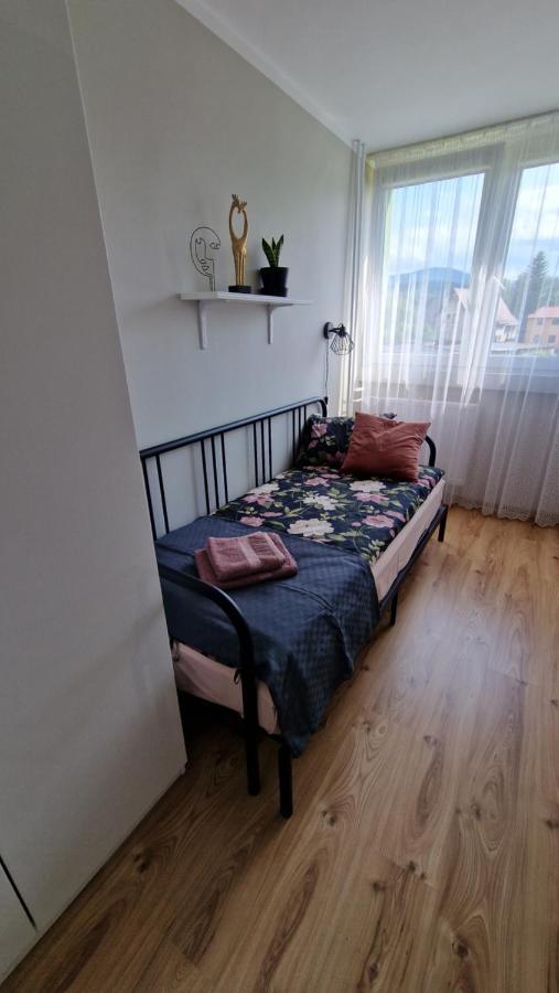 Apartament Spoko-Loko Apartment Stronie Śląskie Екстериор снимка